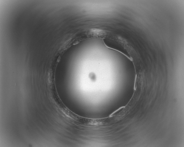 X0000073850760200608312000