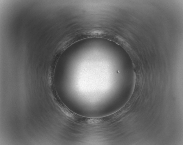 X0000073850762200608312000