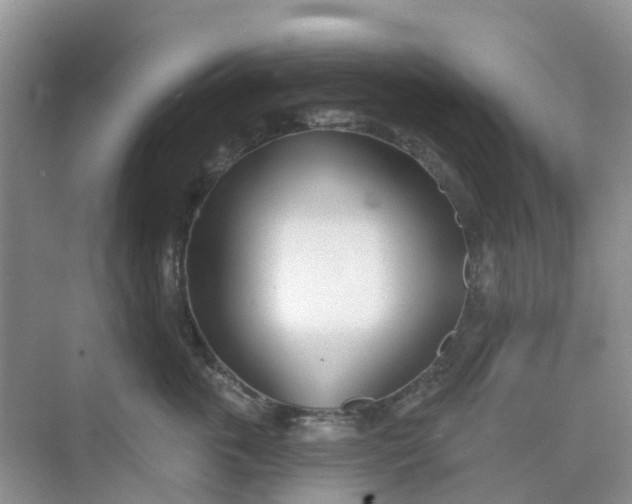 X0000073850763200608312000