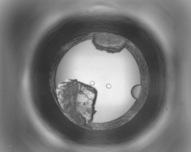 X0000073850765200608312000