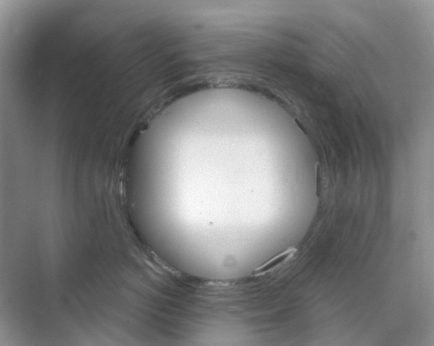 X0000073850766200608312000