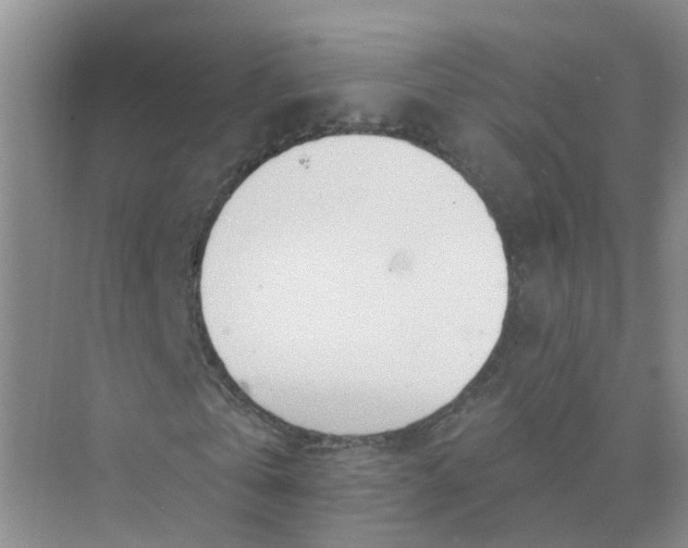 X0000073850769200608312000