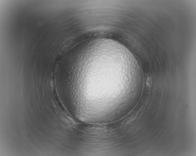 X0000073850771200608312000