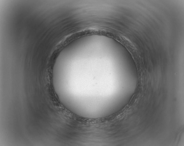 X0000073850776200608311959