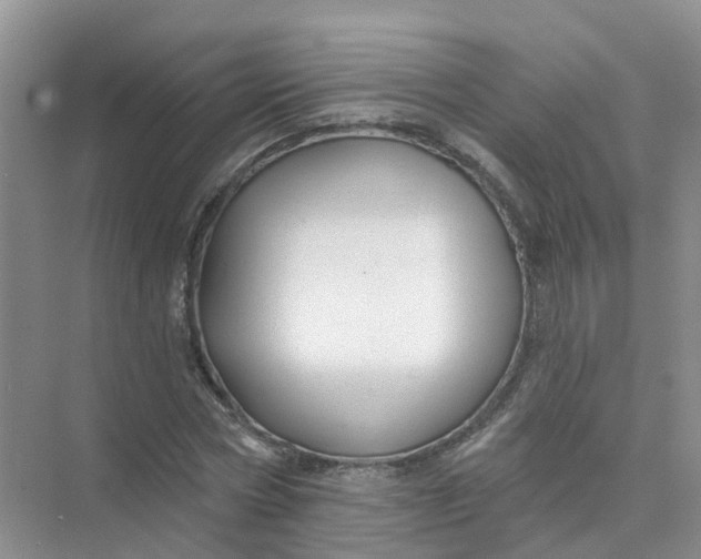 X0000073850778200608311959