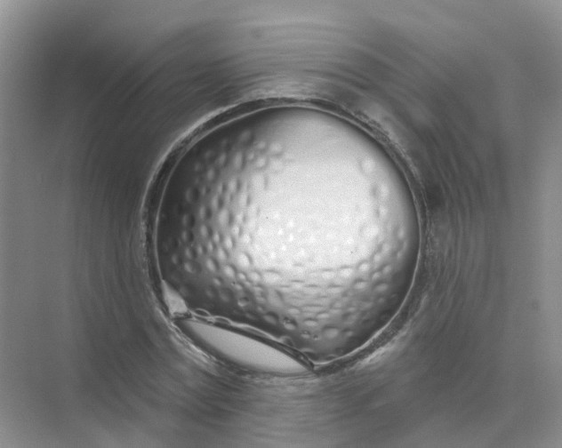 X0000073850779200608311959