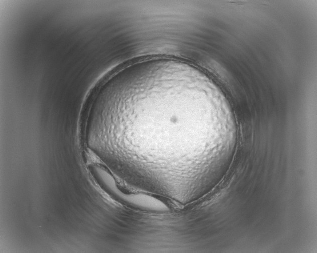 X0000073850780200608311959