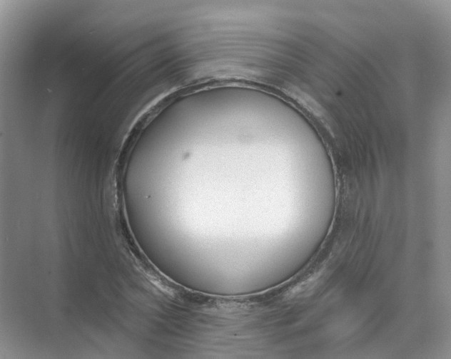 X0000073850782200608311959