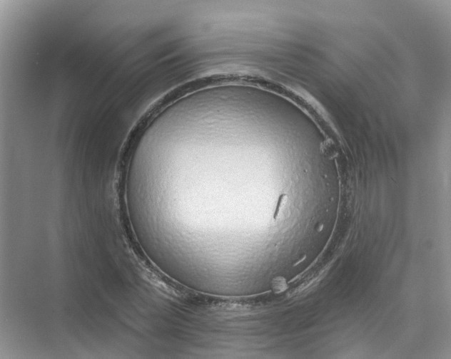 X0000073850783200608311959