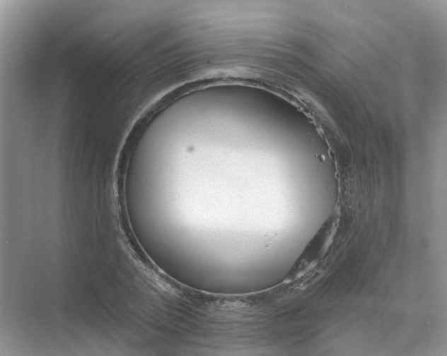 X0000073850784200608311959