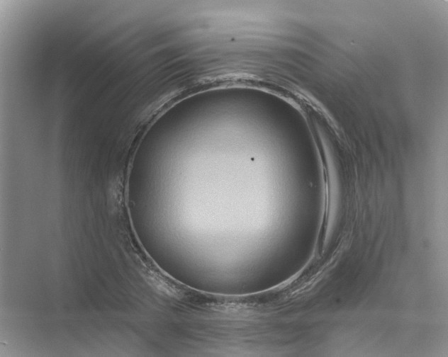 X0000073850785200608311959