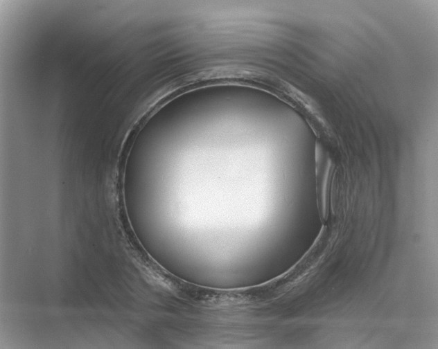 X0000073850786200608311959