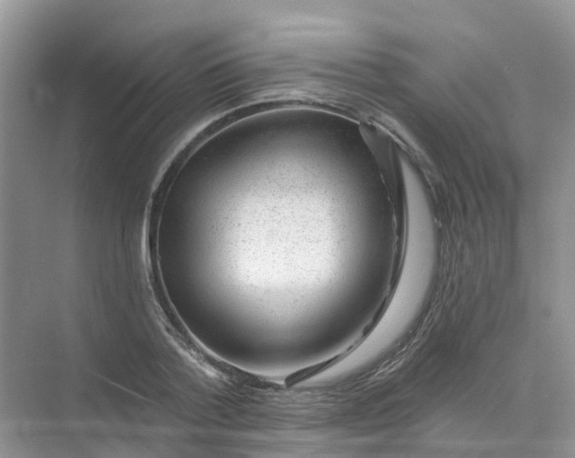 X0000073850788200608311959