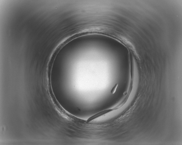 X0000073850792200608311959