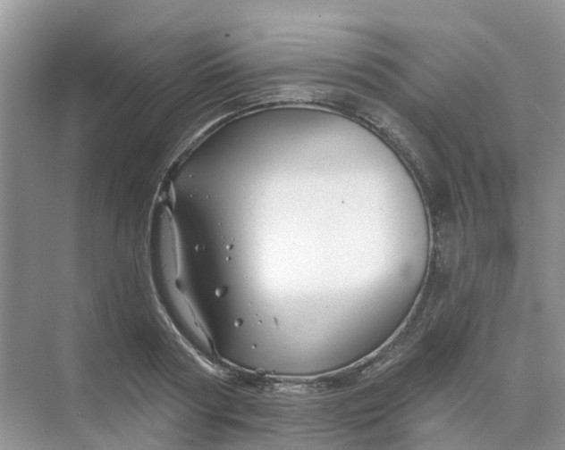 X0000073850794200608311959