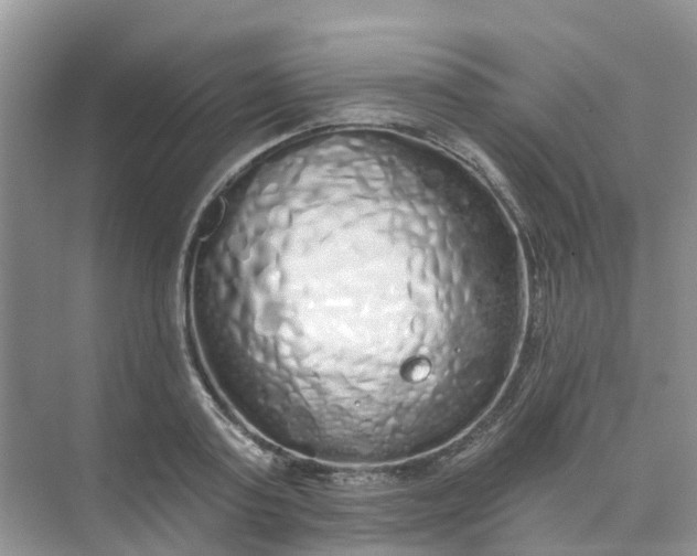 X0000073850795200608311959