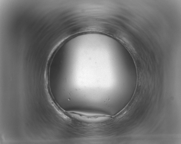 X0000073850796200608311959