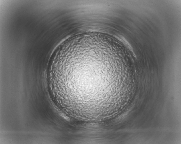 X0000073850798200608311959