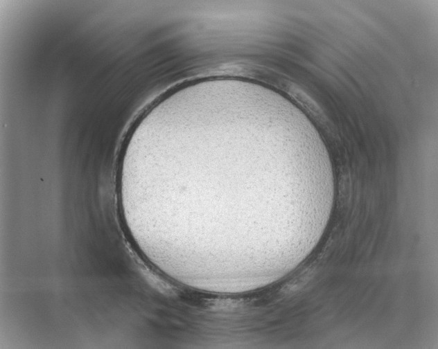 X0000073850800200608311959