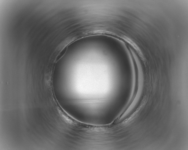 X0000073850801200608311959