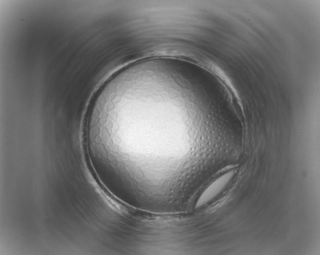 X0000073850803200608311959