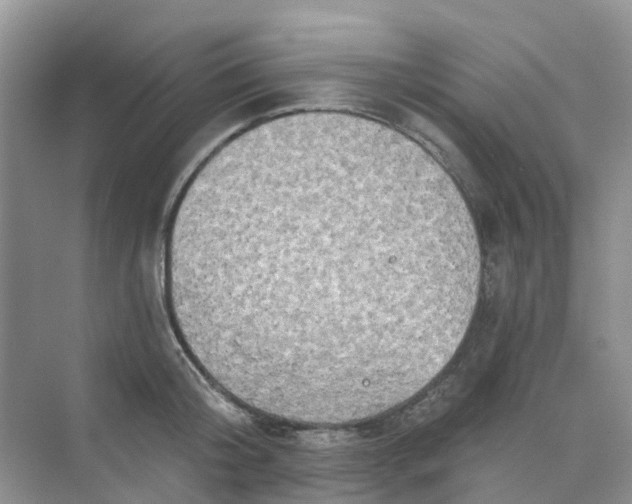 X0000073850804200608311959