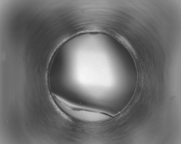 X0000073850805200608311959