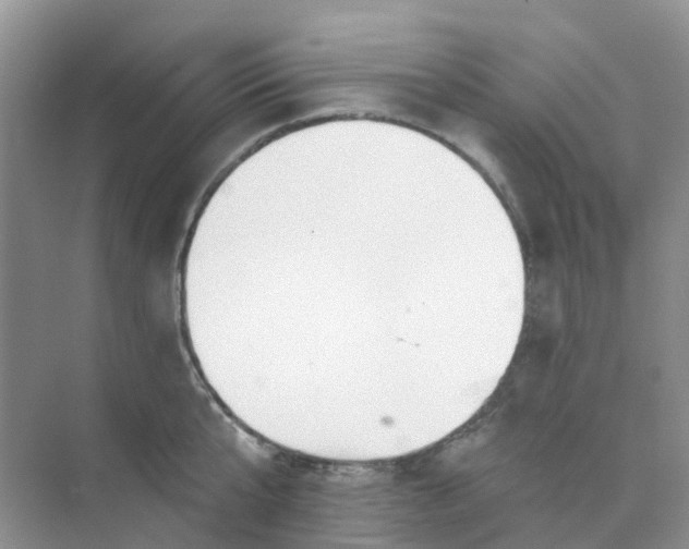 X0000073850807200608311959