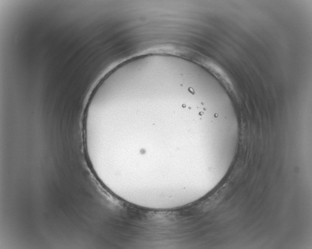 X0000073850808200608311959