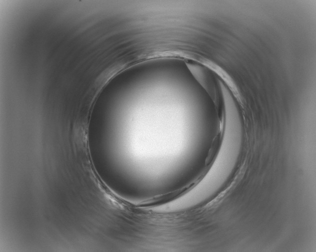 X0000073850809200608311959