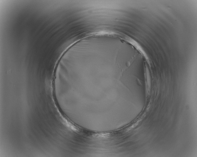 X0000073850810200608311959