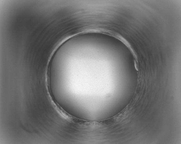 X0000073850811200608311959