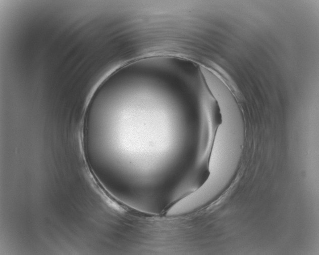 X0000073850812200608311959