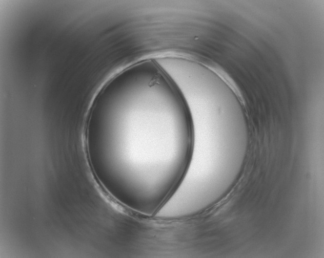 X0000073850813200608311959