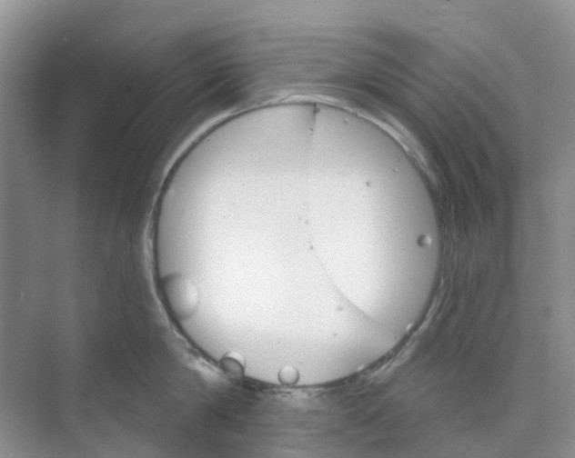 X0000073850814200608311959