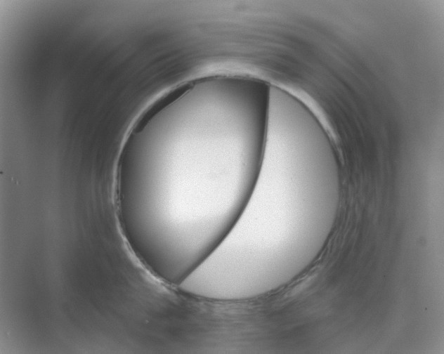 X0000073850815200608311959