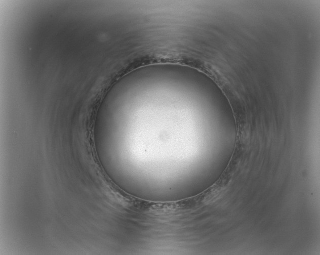 X0000073850817200608311958