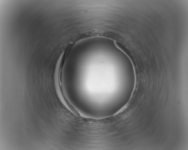 X0000073850818200608311958