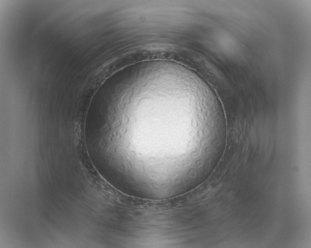 X0000073850821200608311958