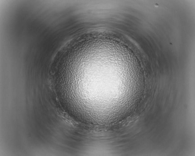 X0000073850823200608311958