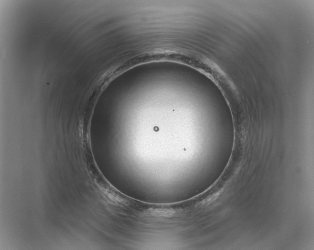 X0000073850825200608311958