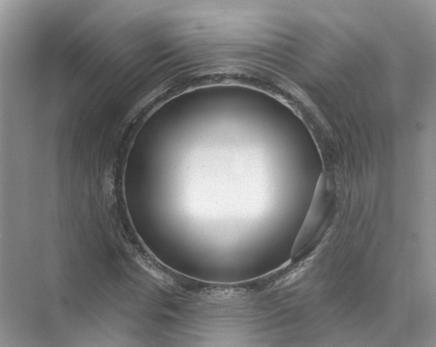 X0000073850826200608311958