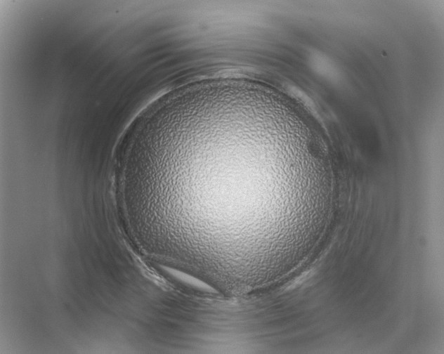 X0000073850827200608311958