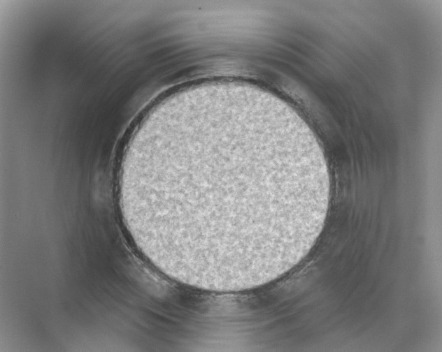 X0000073850828200608311958