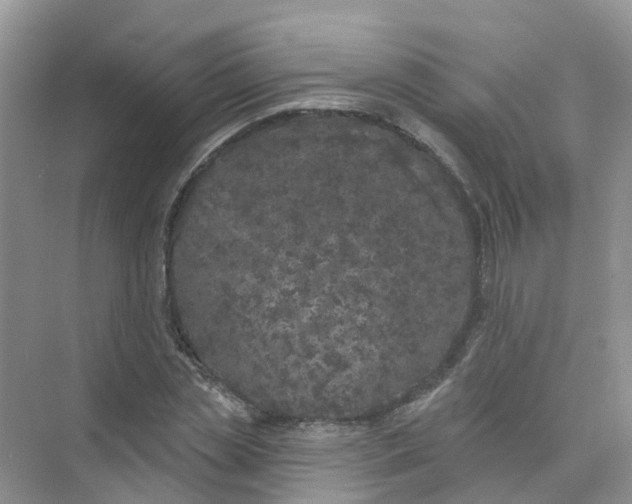 X0000073850829200608311958