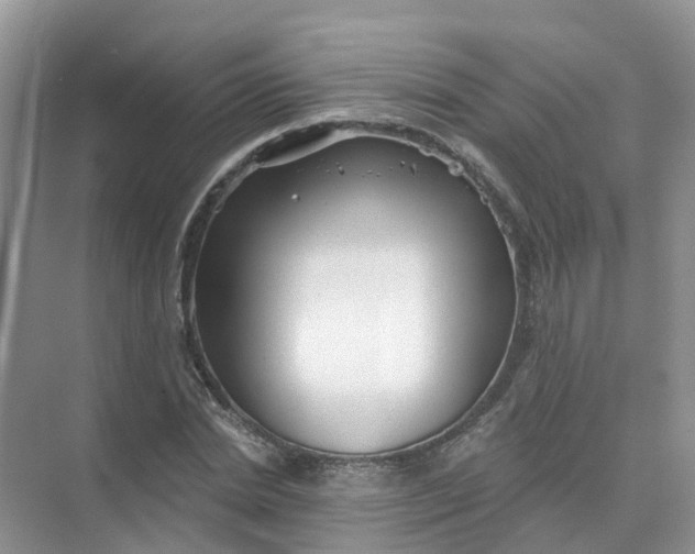 X0000073850830200608311958