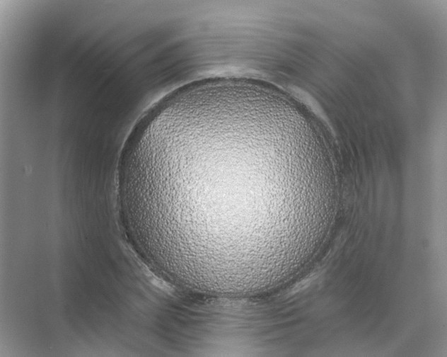 X0000073850831200608311958