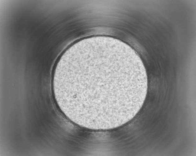 X0000073850836200608311958