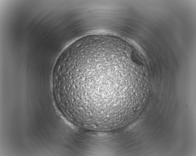 X0000073850839200608311958