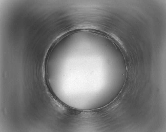 X0000073850840200608311958